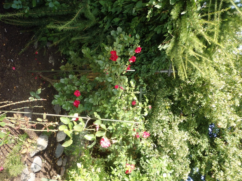 P8260154